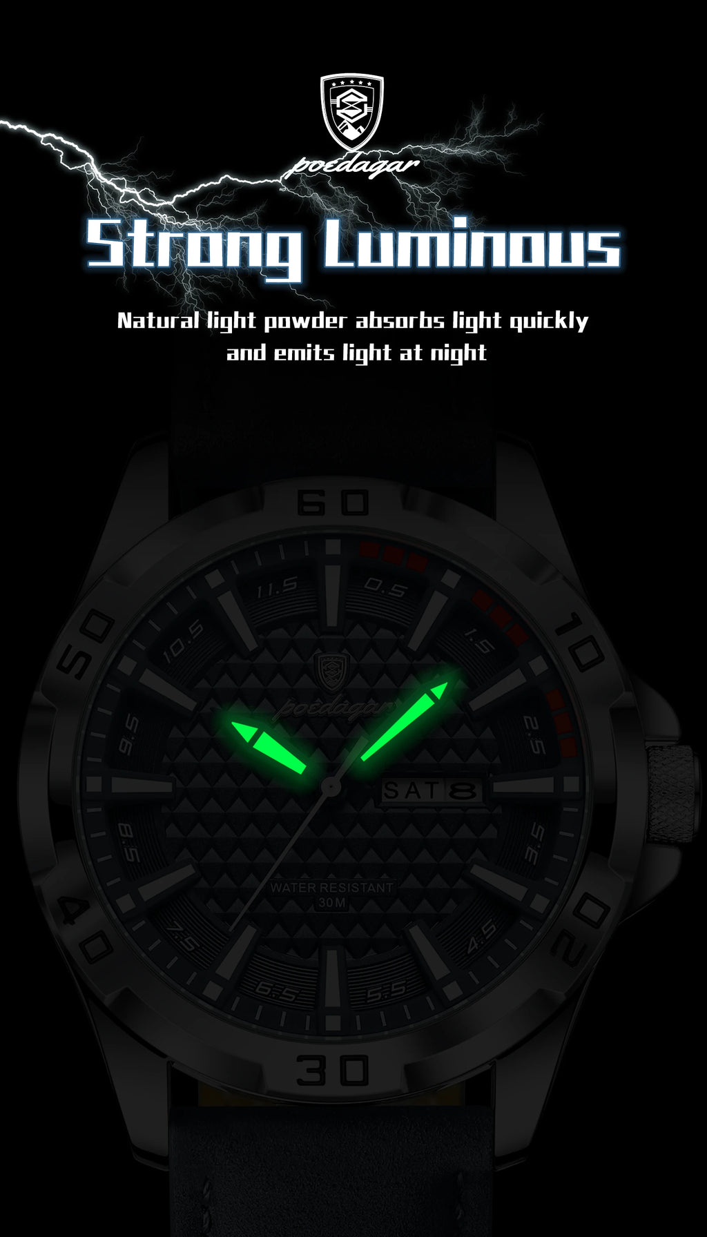 POEDAGAR Luxury Men's Watch