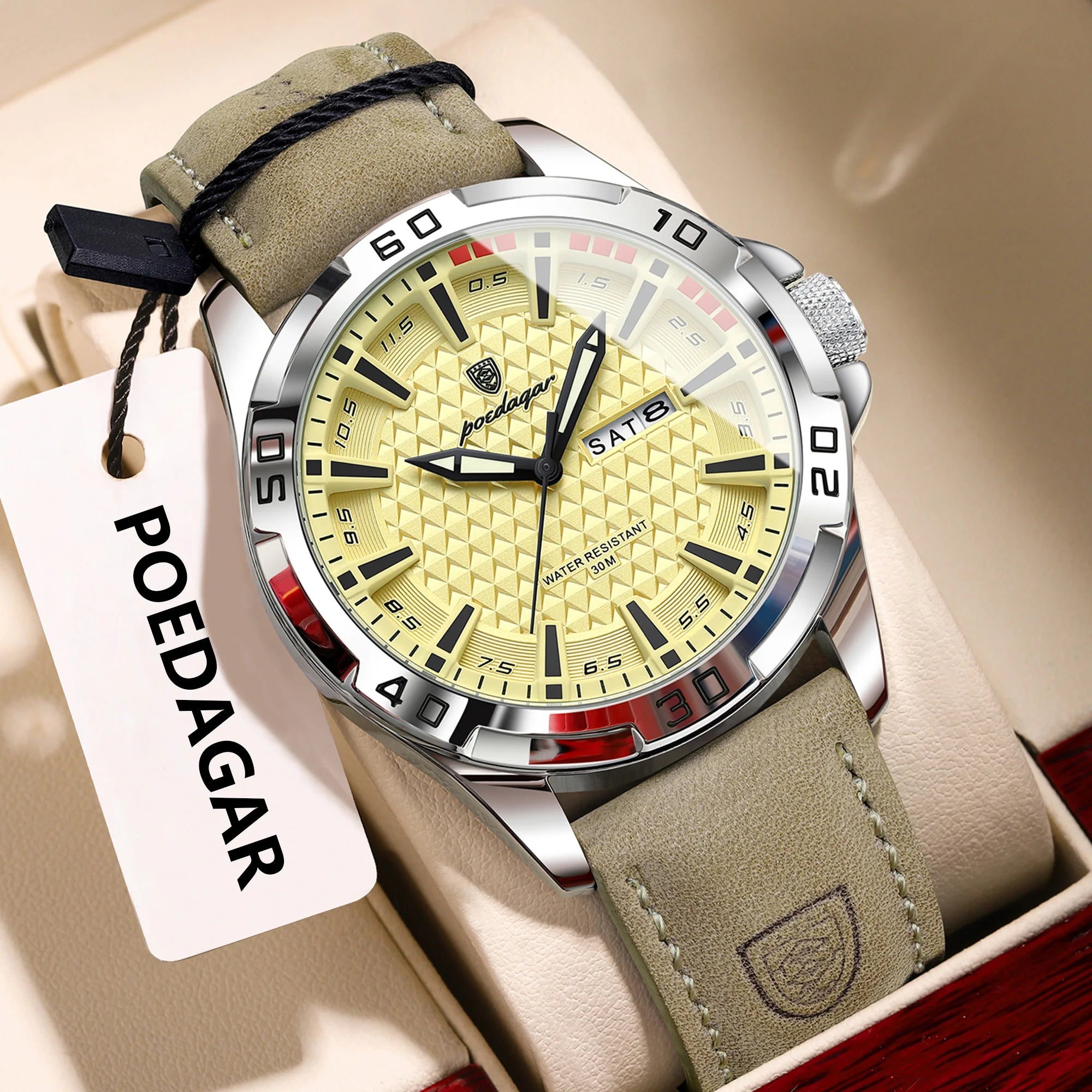 POEDAGAR Luxury Men's Watch